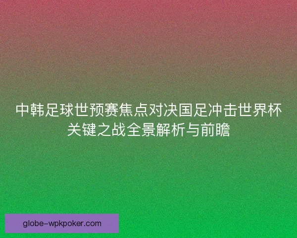 中韩足球世预赛焦点对决国足冲击世界杯关键之战全景解析与前瞻