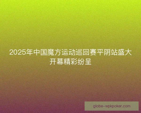 2025年中国魔方运动巡回赛平阴站盛大开幕精彩纷呈 2025年中国魔方运动巡回赛平阴站盛大开幕精彩纷呈